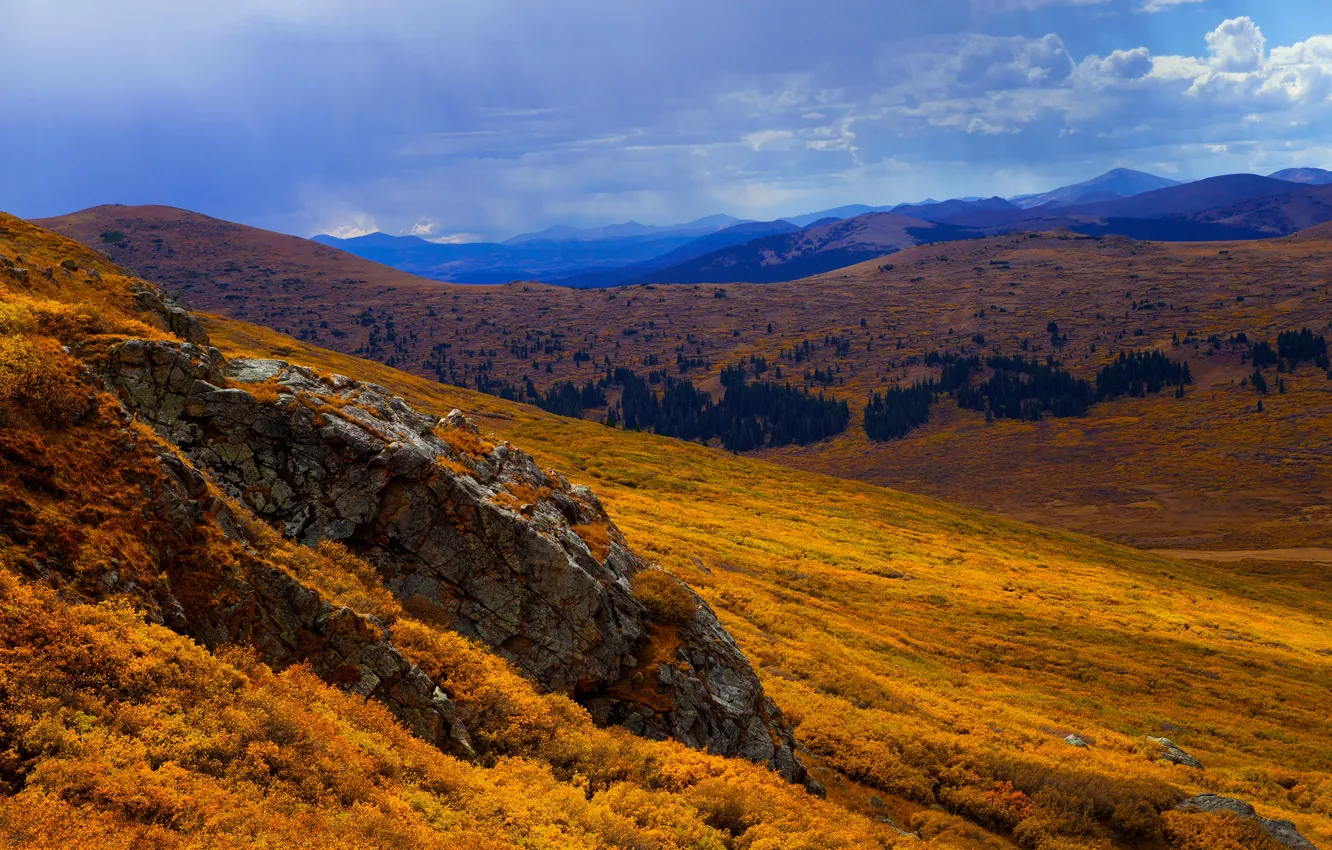 Photo wallpaper forest, mountains, stones, hills, slope