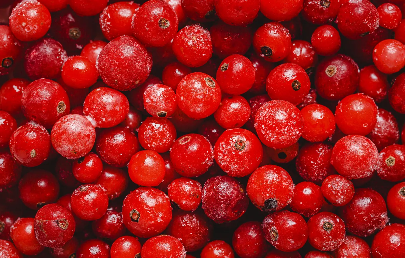 Photo wallpaper berries, a lot, cranberry