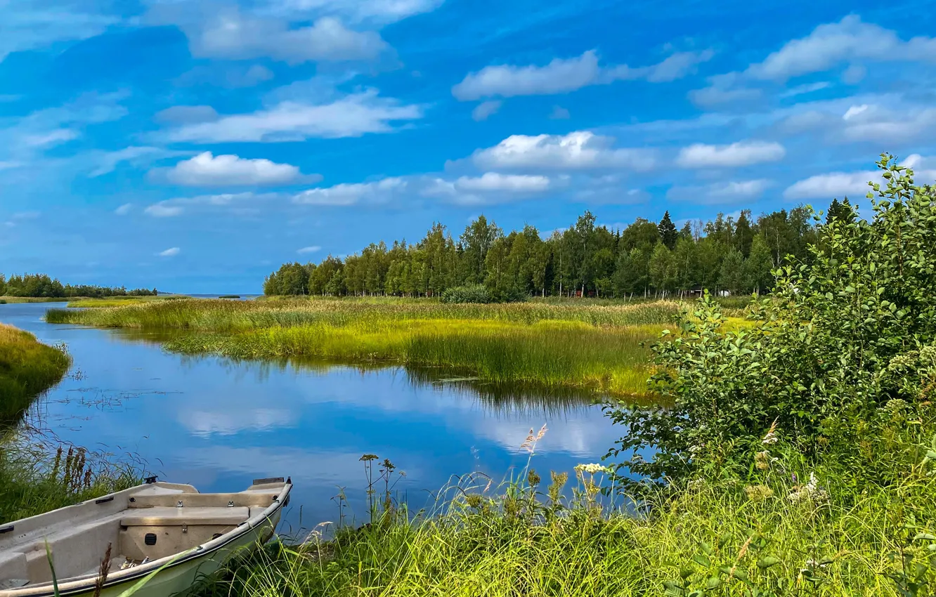 Photo wallpaper summer, the sky, trees, river, boat, reed, Finland, Finland