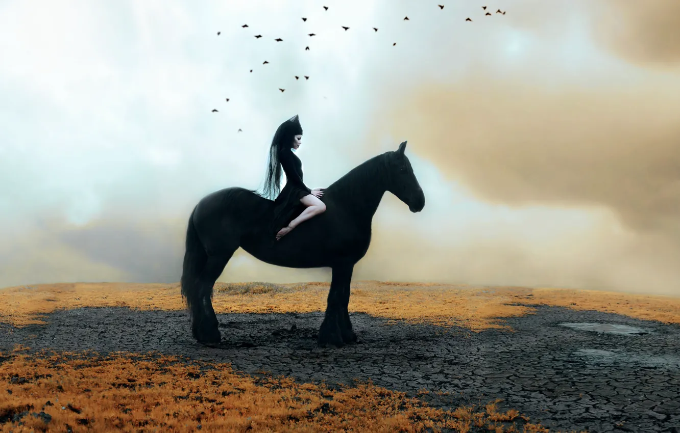 Photo wallpaper girl, horse, Kindra Nikole, naezdnica
