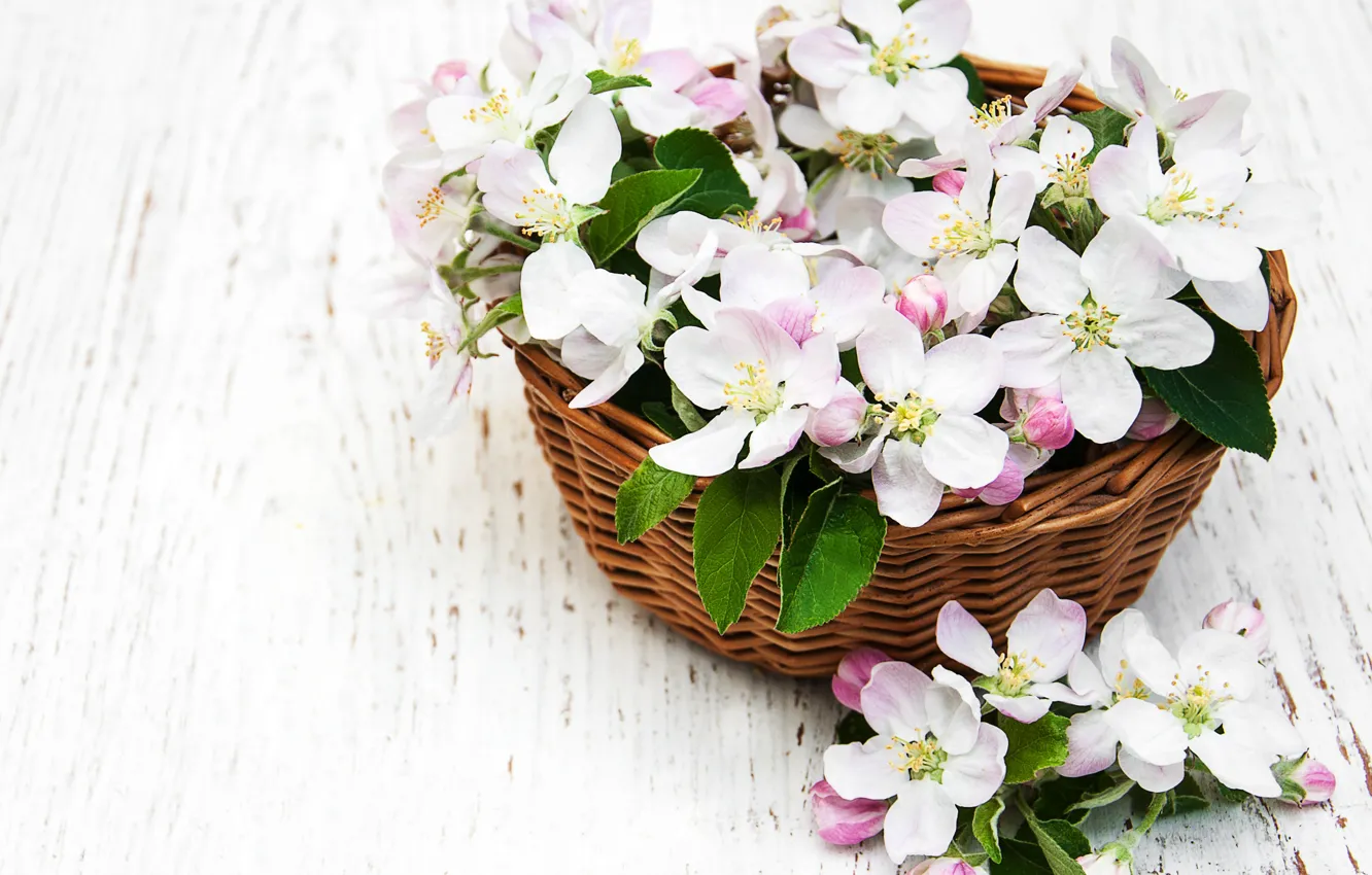 Photo wallpaper flowers, table, basket, Apple, Olena Rudo