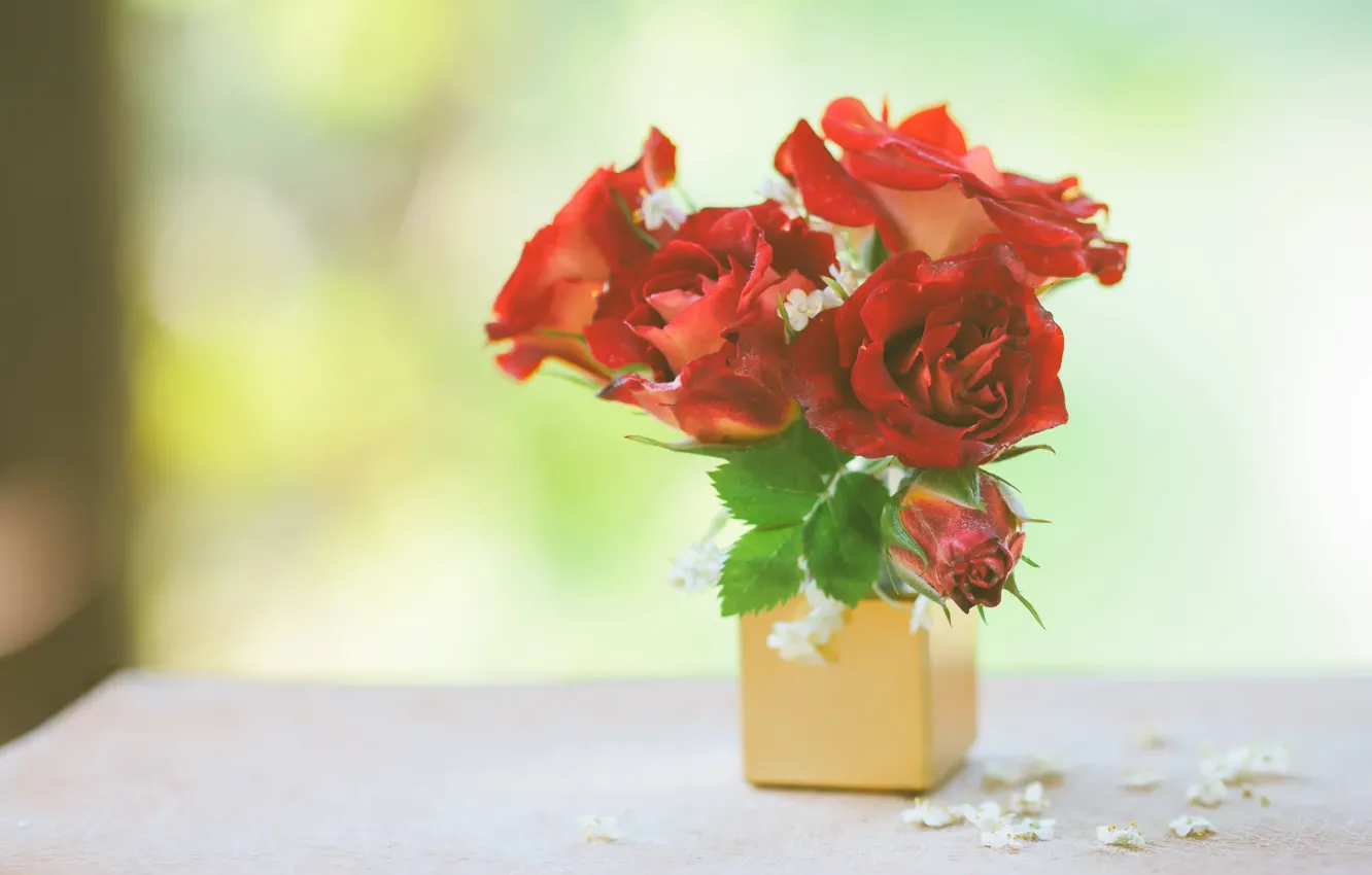 Photo wallpaper roses, bouquet, mini