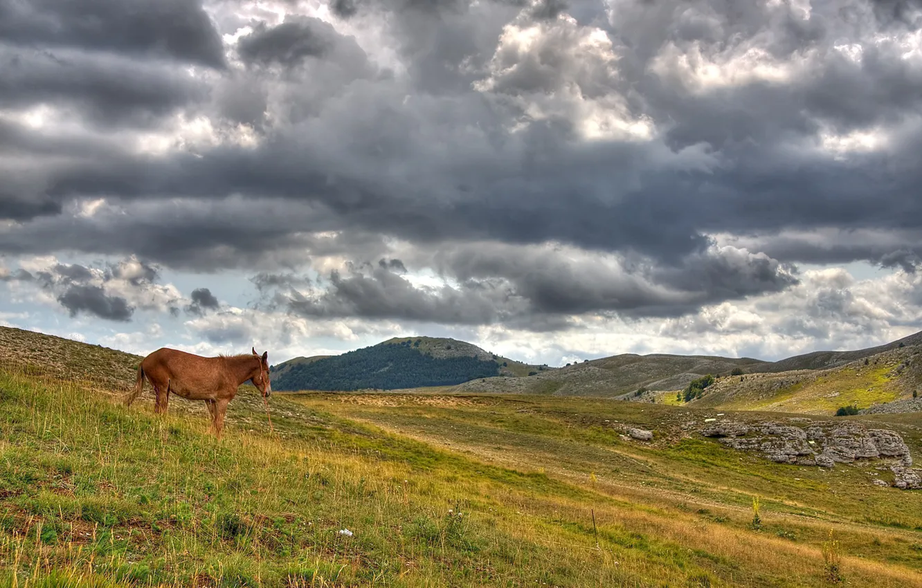 Photo wallpaper clouds, hills, horse