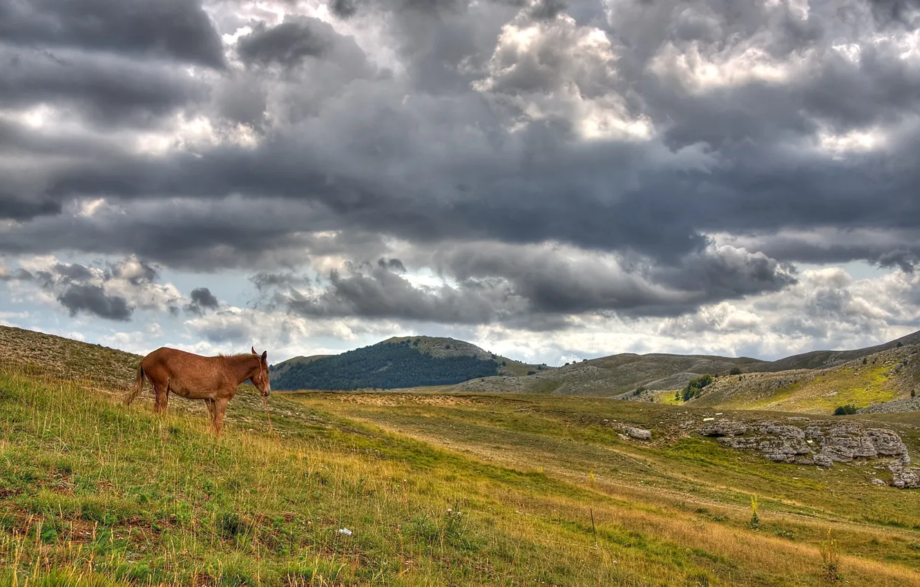 Photo wallpaper hills, horse, Clouds