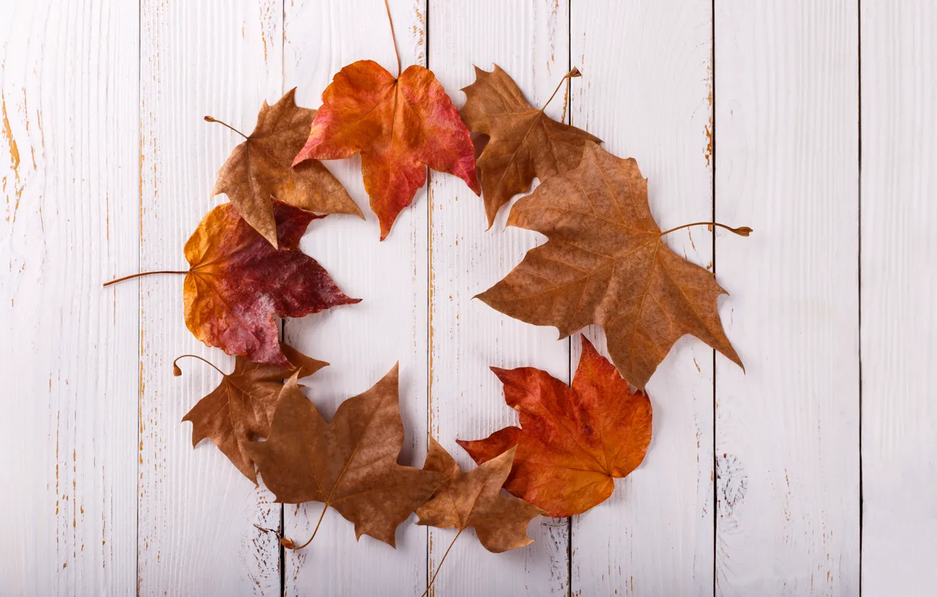 Photo wallpaper autumn, leaves, background, Board, colorful, maple, wood, background