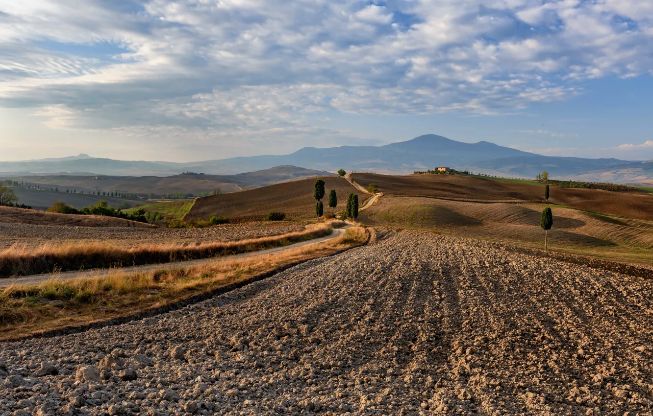 Photo wallpaper Pienza, Tuscany, The long way home