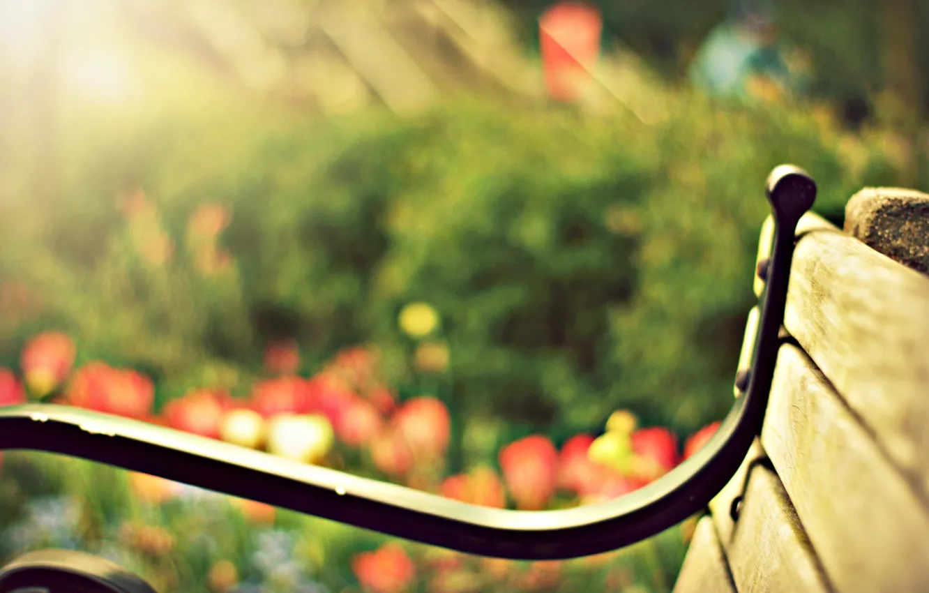 Photo wallpaper greens, the sun, flowers, bench, nature, blur, shop, shop