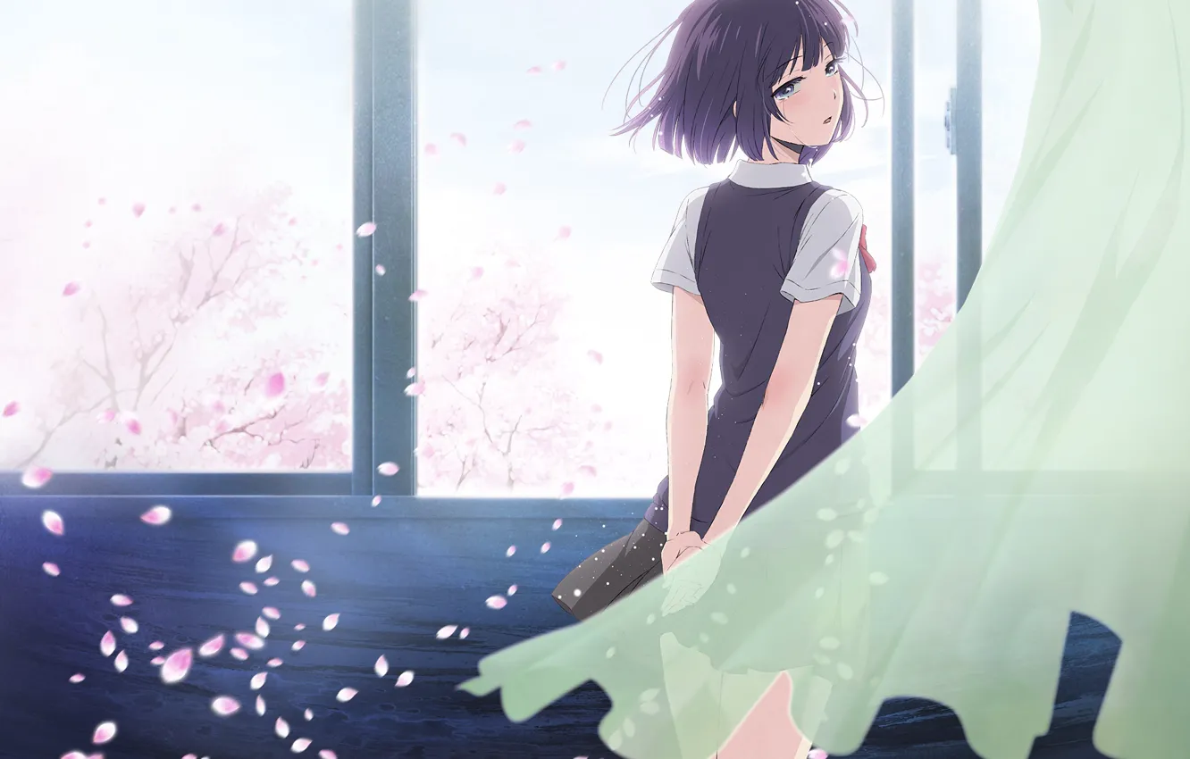 Photo wallpaper girl, petals, Sakura, class, tears, anime, art, crying
