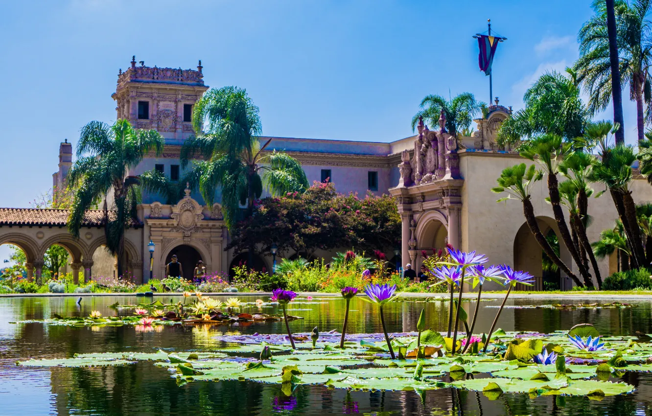 Photo wallpaper the sky, the sun, flowers, pond, Park, palm trees, the building, CA