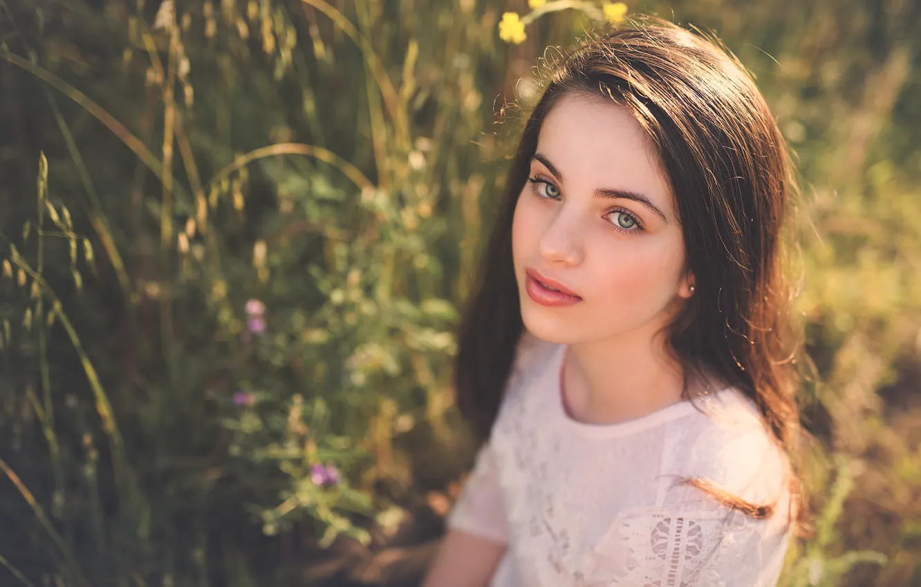 Photo wallpaper sponge, the beauty, sunlight, Edie Layland, Spring Grass