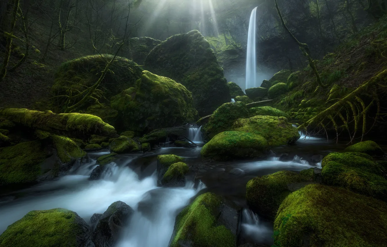 Photo wallpaper stream, stones, waterfall, moss, Oregon, Oregon, Columbia River Gorge, Elowah Falls