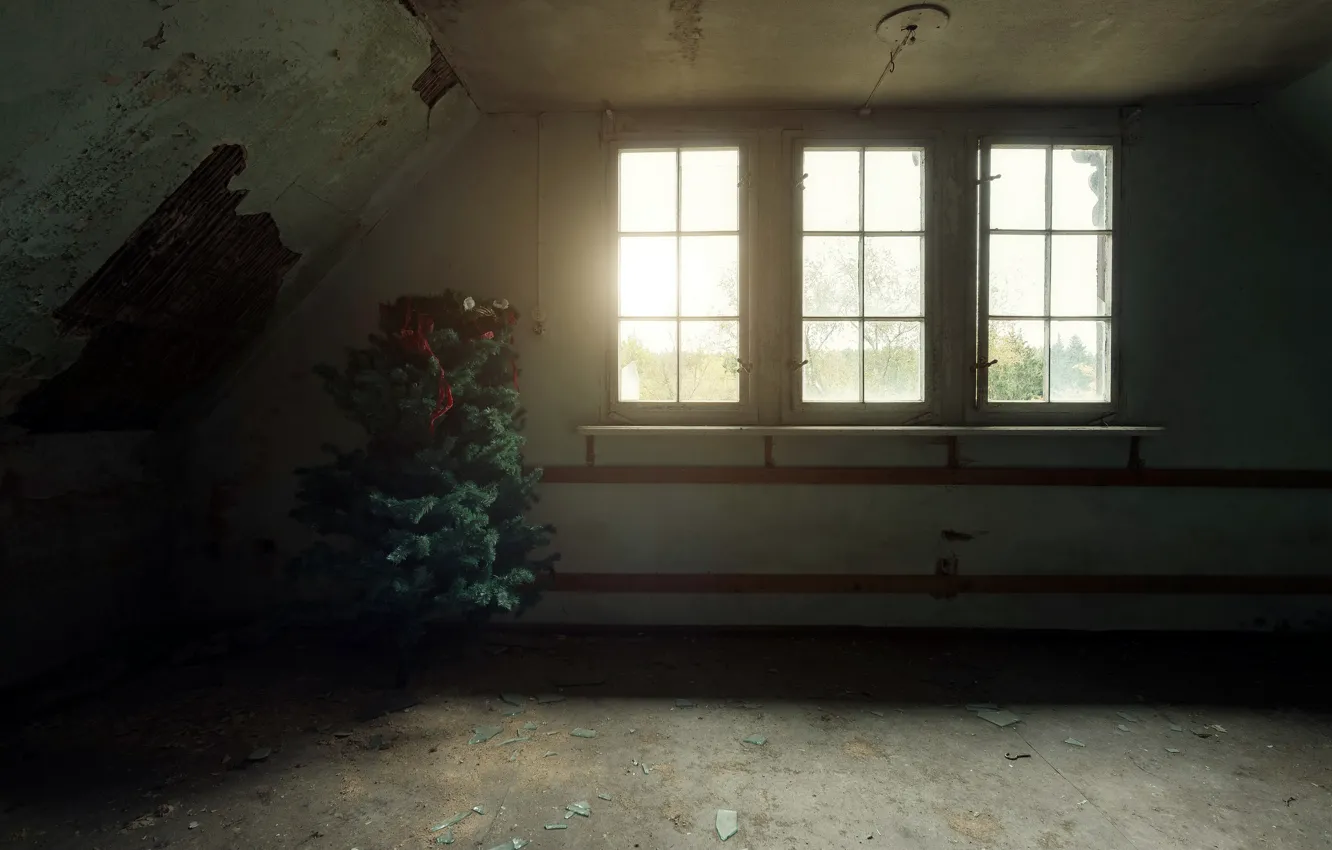 Photo wallpaper room, holiday, window, tree