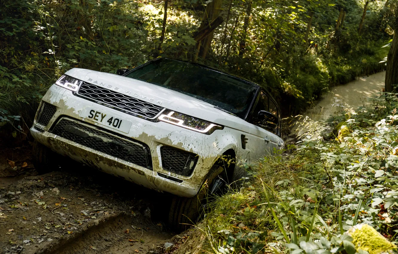 Photo wallpaper road, forest, plants, puddle, dirt, track, Land Rover, black and white