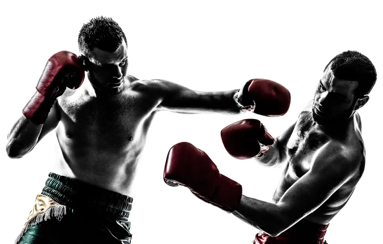 Photo wallpaper people, men, portrait, martial arts, Muay Thai, one person, one man