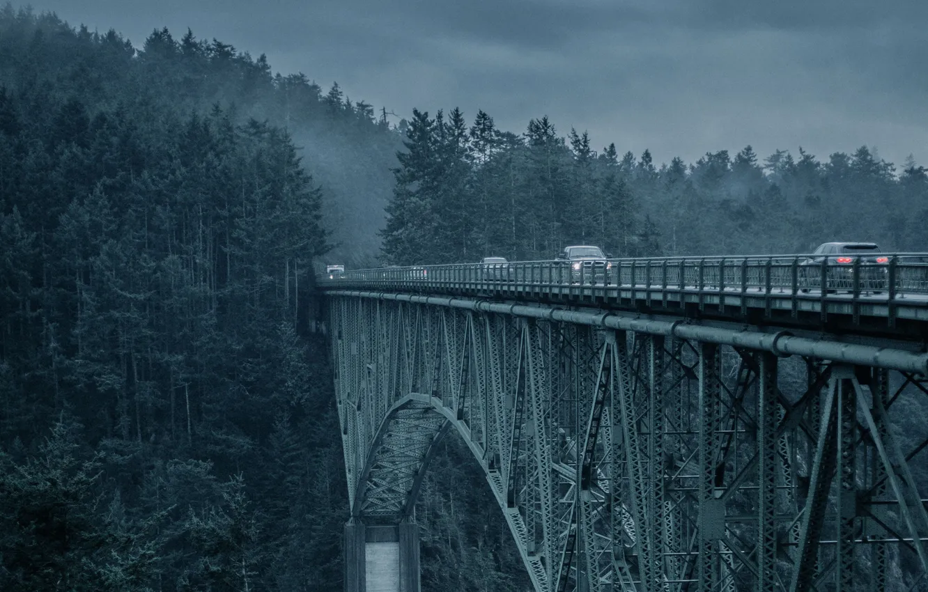Photo wallpaper auto, forest, the sky, landscape, clouds, bridge, nature, fog