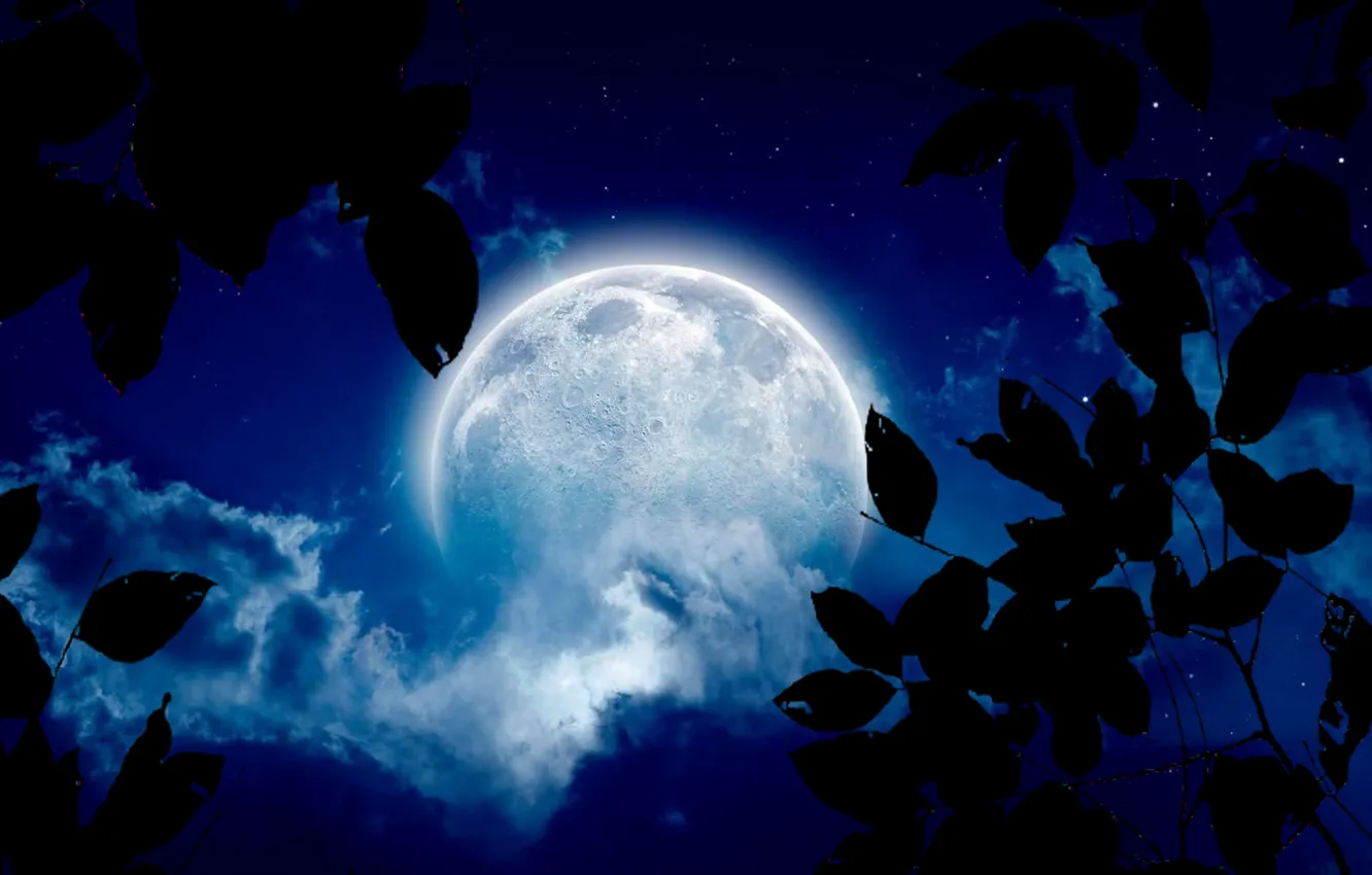 Photo wallpaper night, cloud, moonlight, silhouette