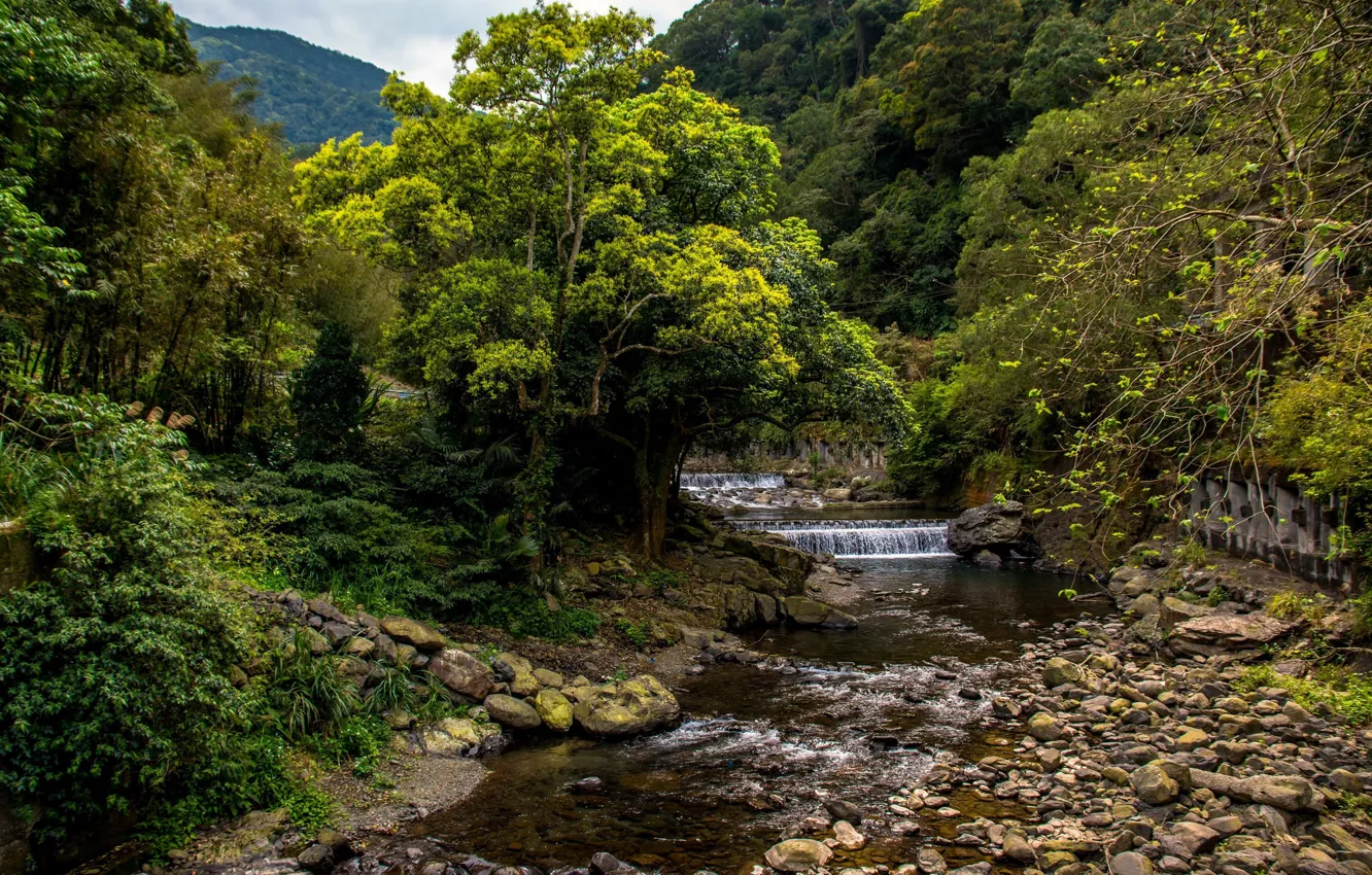 Photo wallpaper forest, mountains, stones, river, ledges