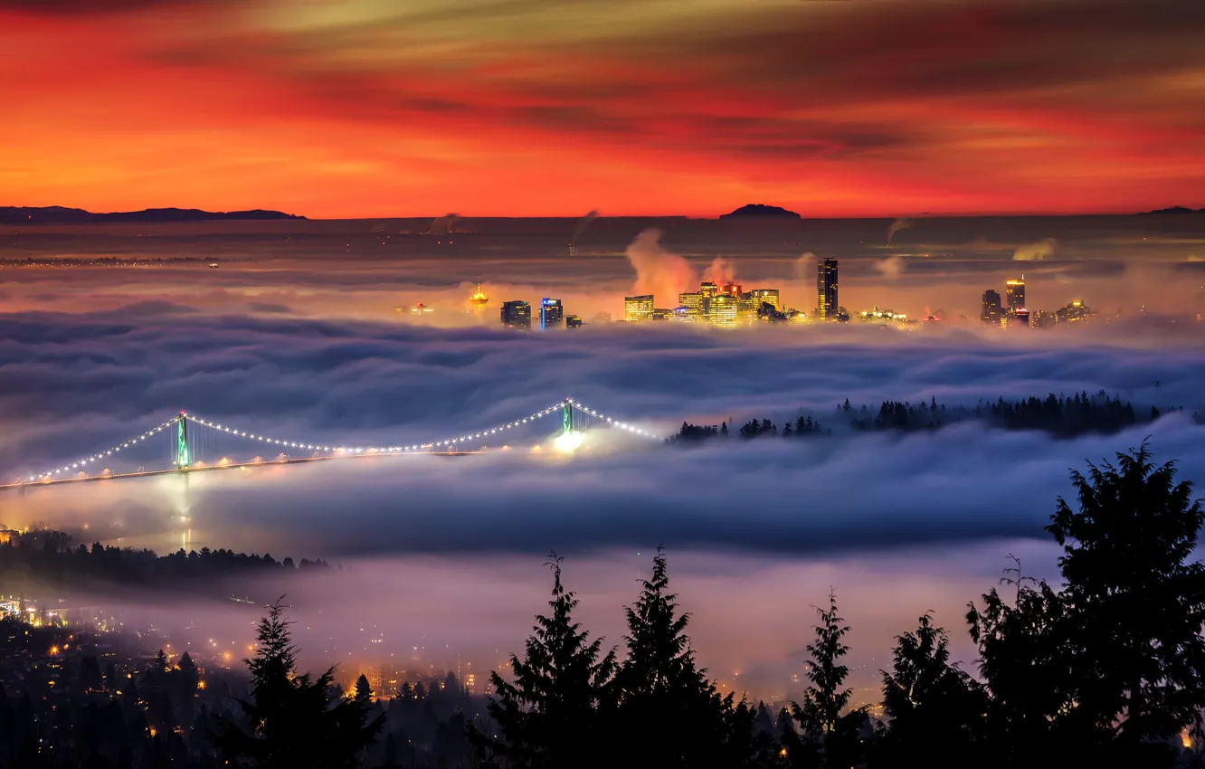 Photo wallpaper winter, bridge, lights, fog, home, morning, Canada, British Columbia