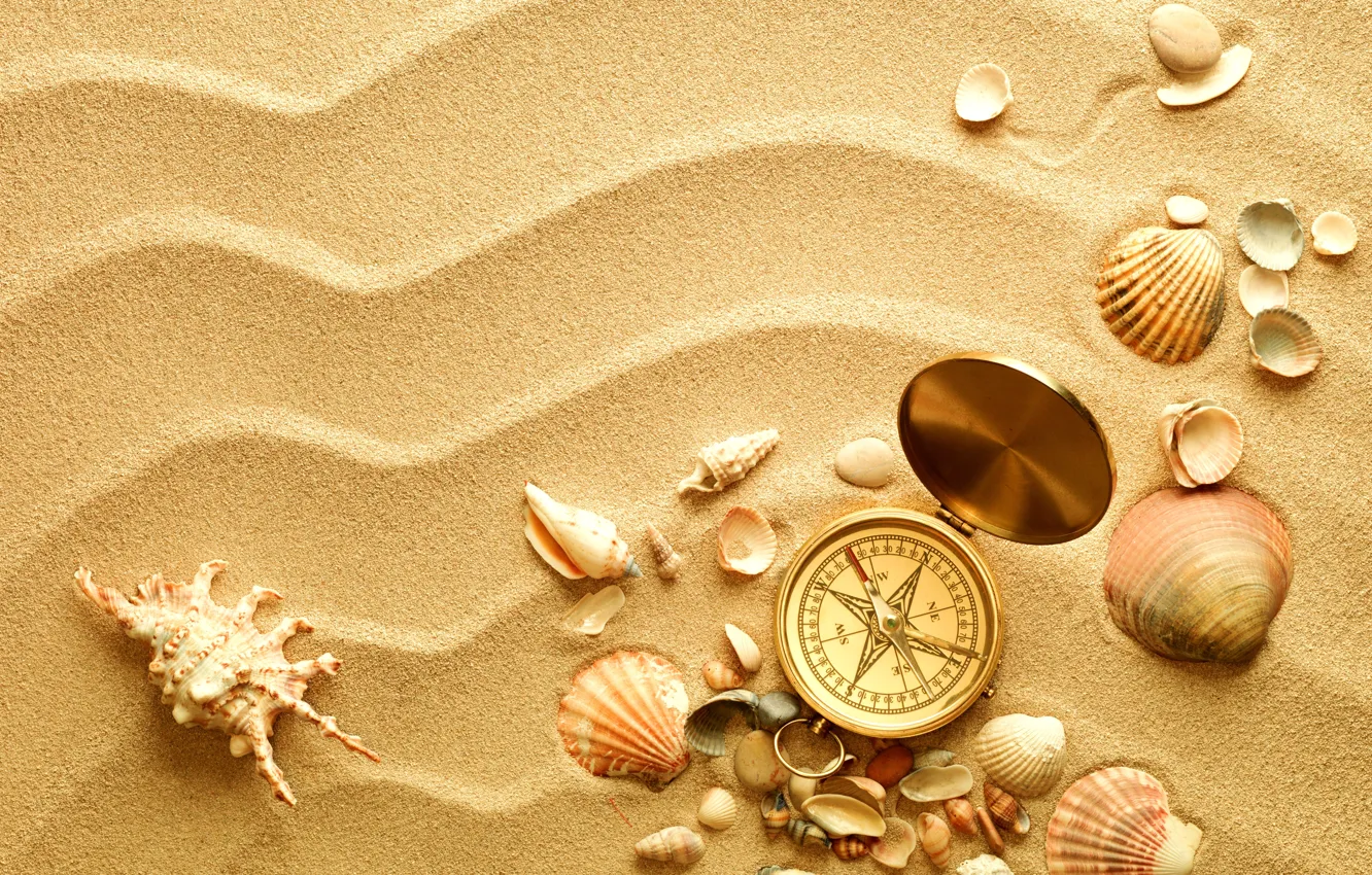 Photo wallpaper sand, shell, compass, shell