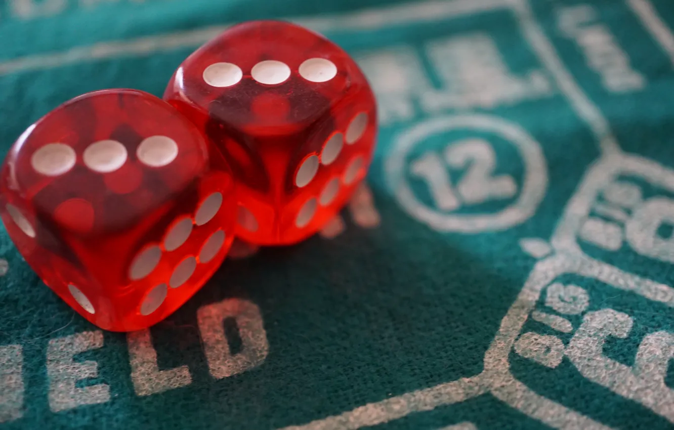 Photo wallpaper macro, the game, bones