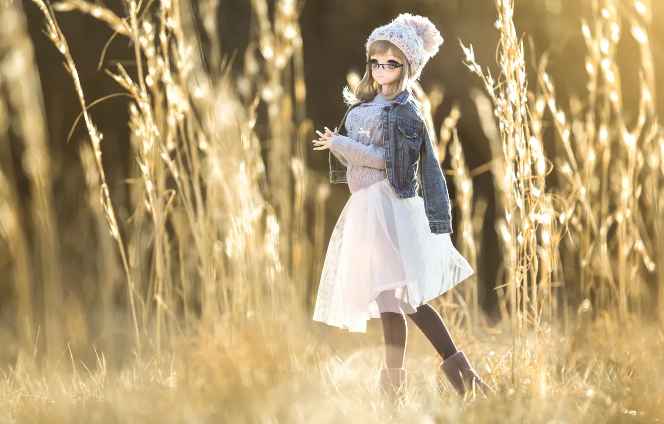 Photo wallpaper grass, toy, doll