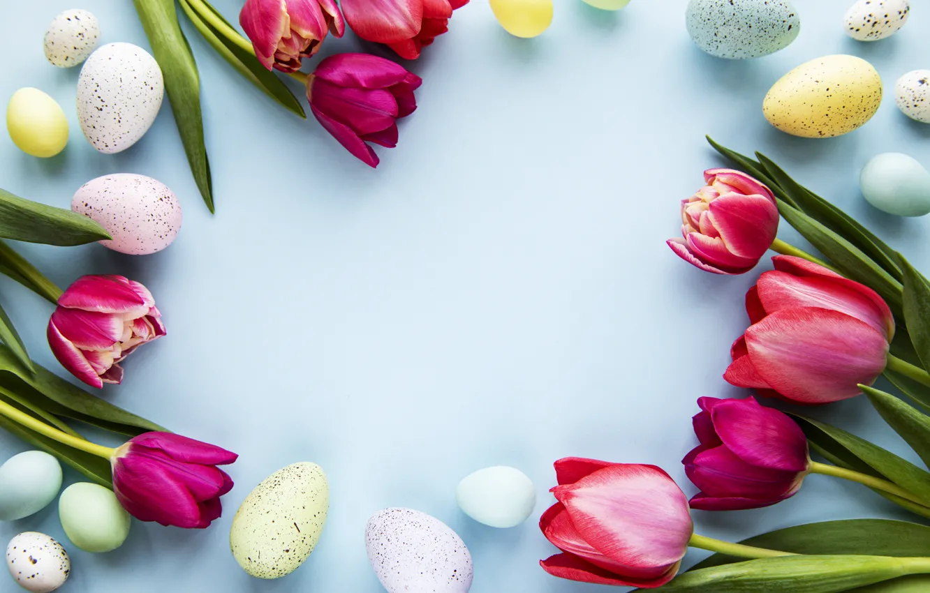 Photo wallpaper flowers, eggs, spring, colorful, Easter, tulips, pink, flowers