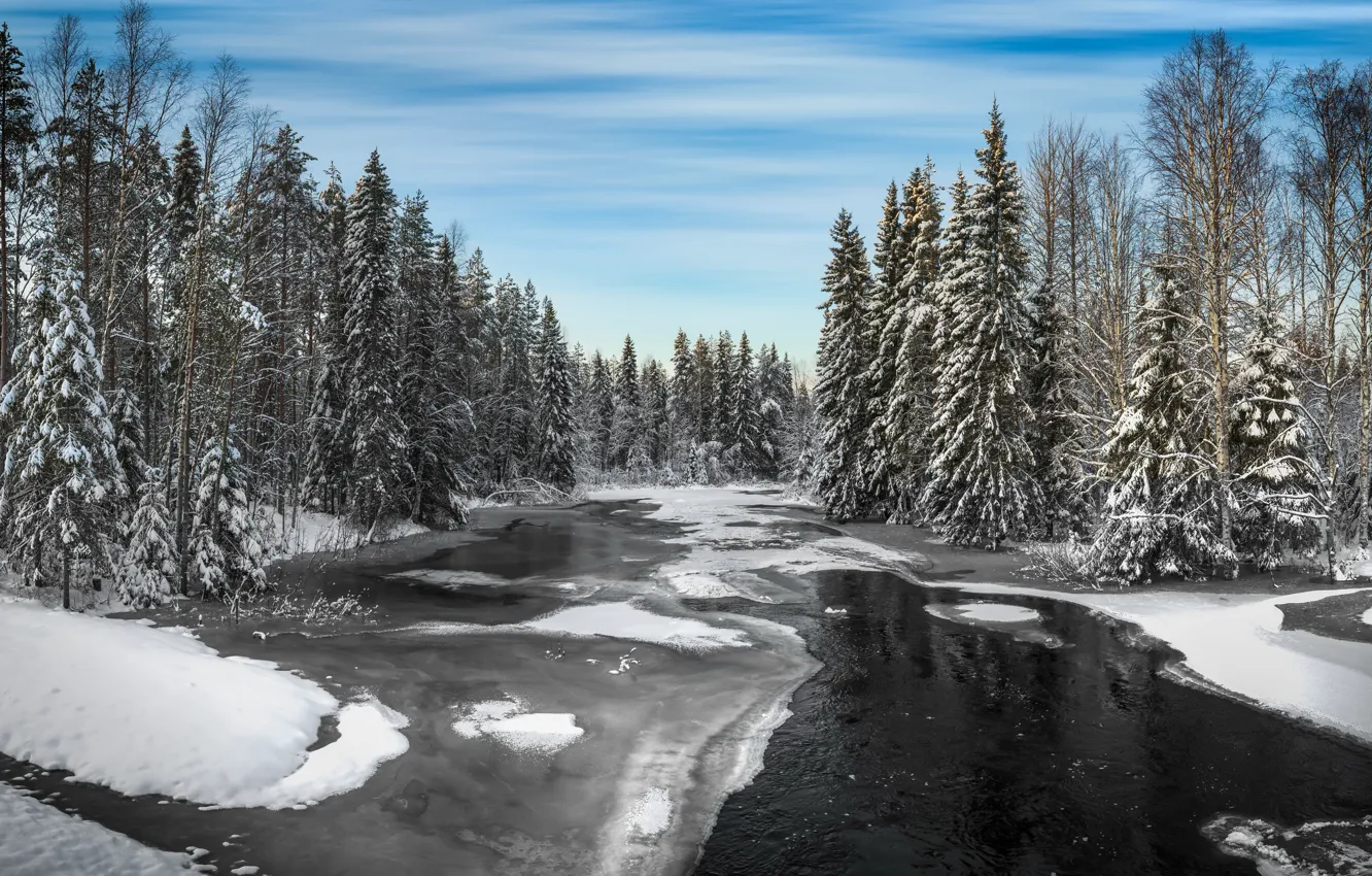 Photo wallpaper winter, forest, river, Winter, river
