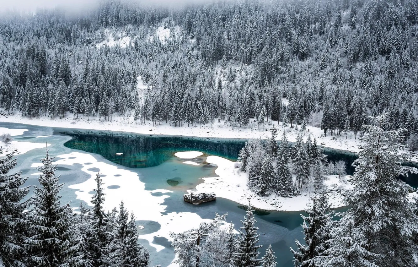 Photo wallpaper ice, winter, forest, snow, lake