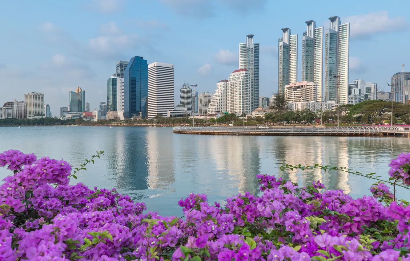 Photo wallpaper landscape, flowers, city, the city, river, Thailand, Thailand, river