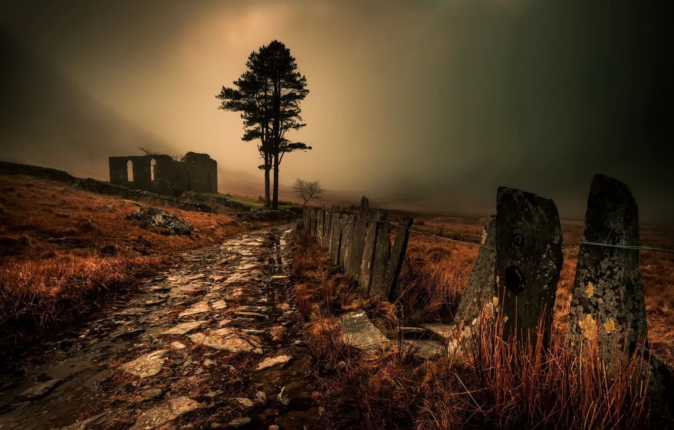 Photo wallpaper road, night, fog