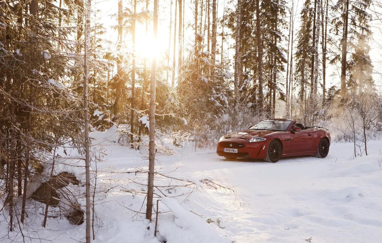 Photo wallpaper winter, forest, the sun, snow, red, Jaguar, Jaguar, convertible