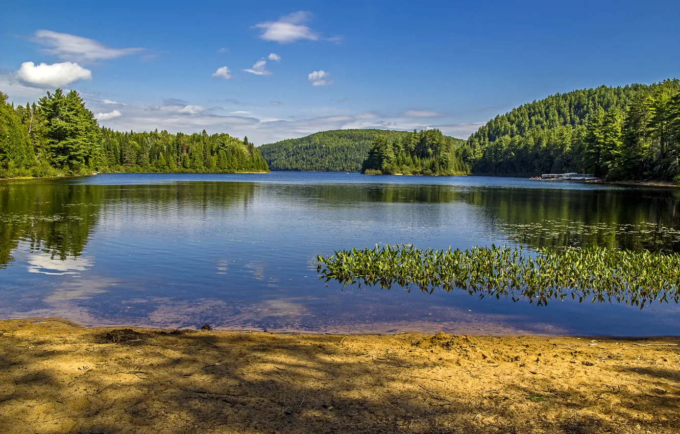 Photo wallpaper forest, summer, the sky, clouds, trees, lake, Canada, Sunny