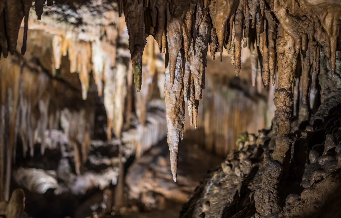 Photo wallpaper VA, stalagmites, stalactites, Lorasia caves
