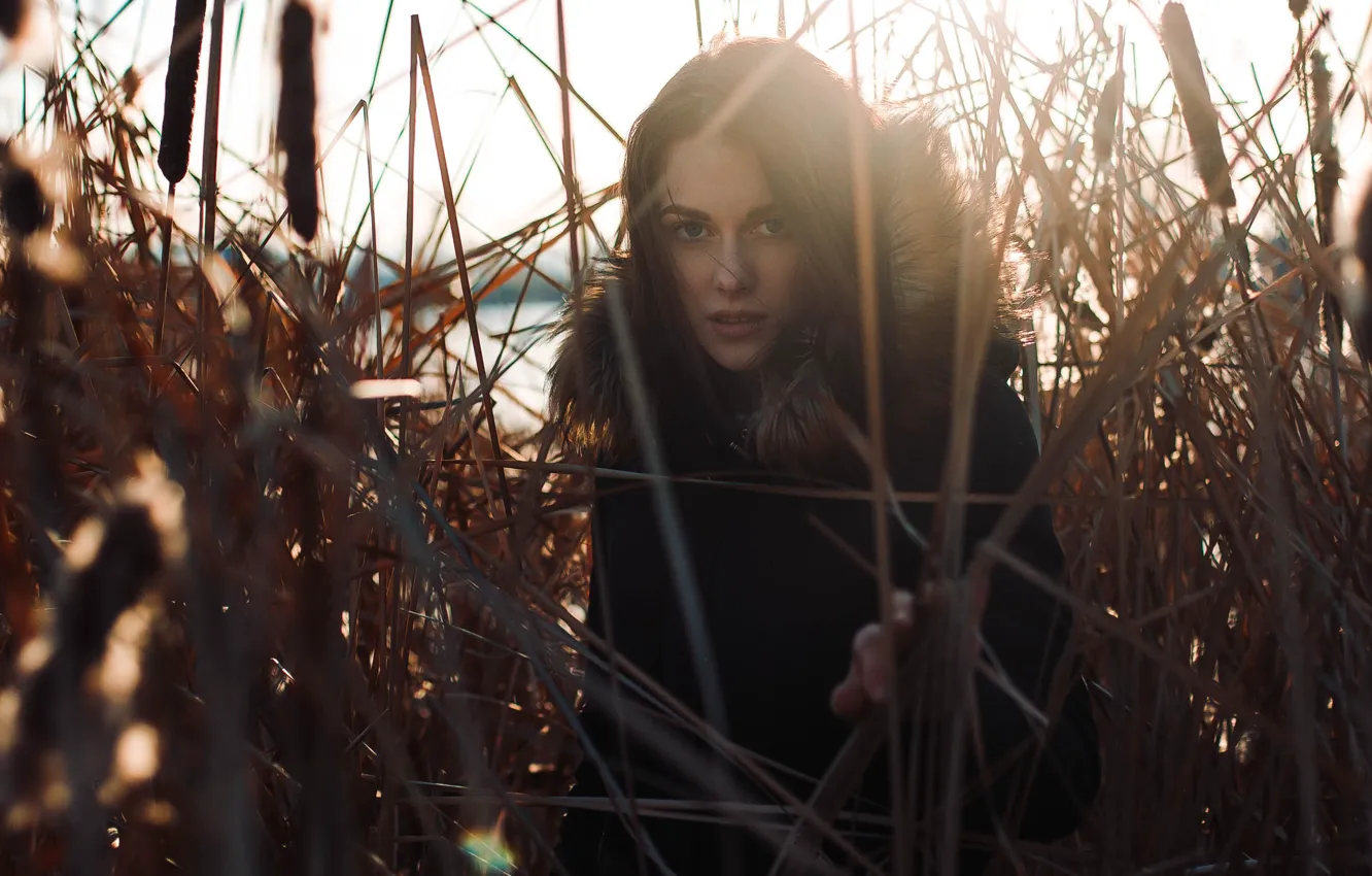 Photo wallpaper autumn, eyes, girl, lake, jacket, collar, reed
