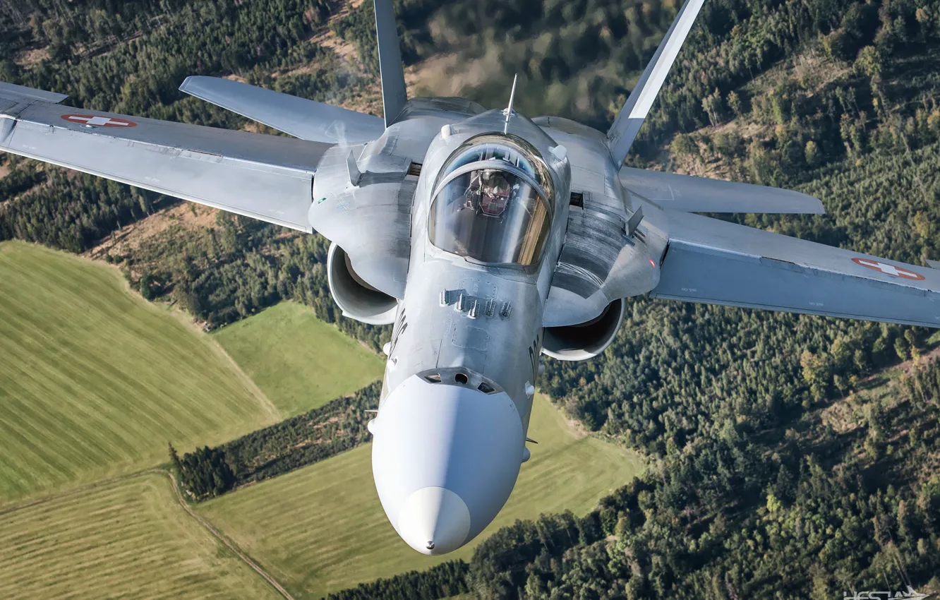 Photo wallpaper Field, Forest, Fighter, Pilot, The Swiss air force, F/A-18 Hornet, Cockpit, ILS
