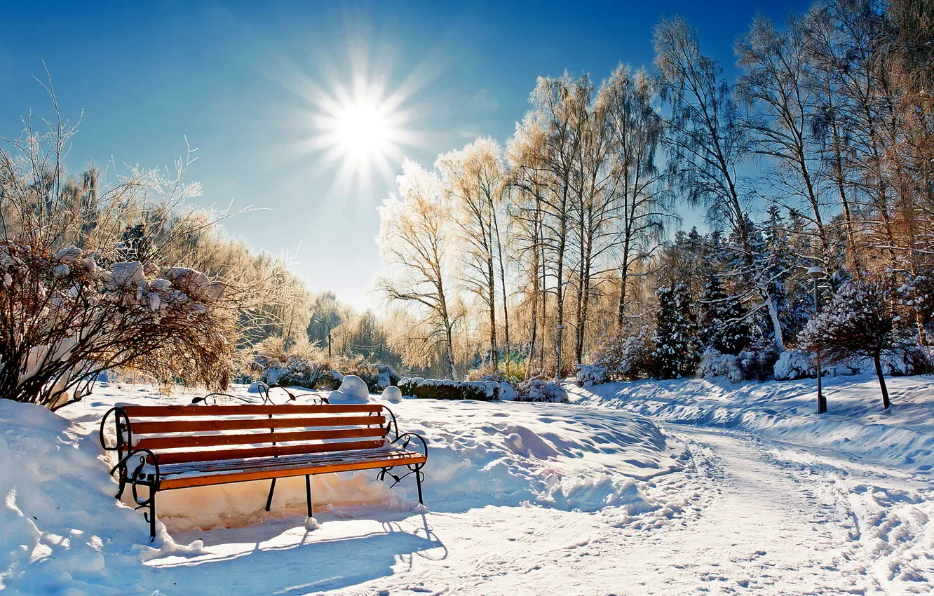 Photo wallpaper winter, forest, the sky, the sun, snow, landscape, bench, nature