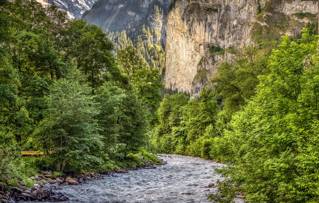 Photo wallpaper greens, forest, trees, mountains, stones, rocks, Switzerland, river