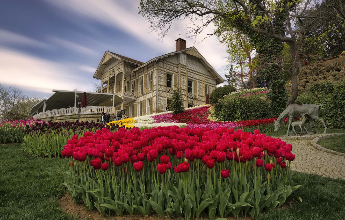 Photo wallpaper the sky, grass, clouds, trees, flowers, red, Park, lawn