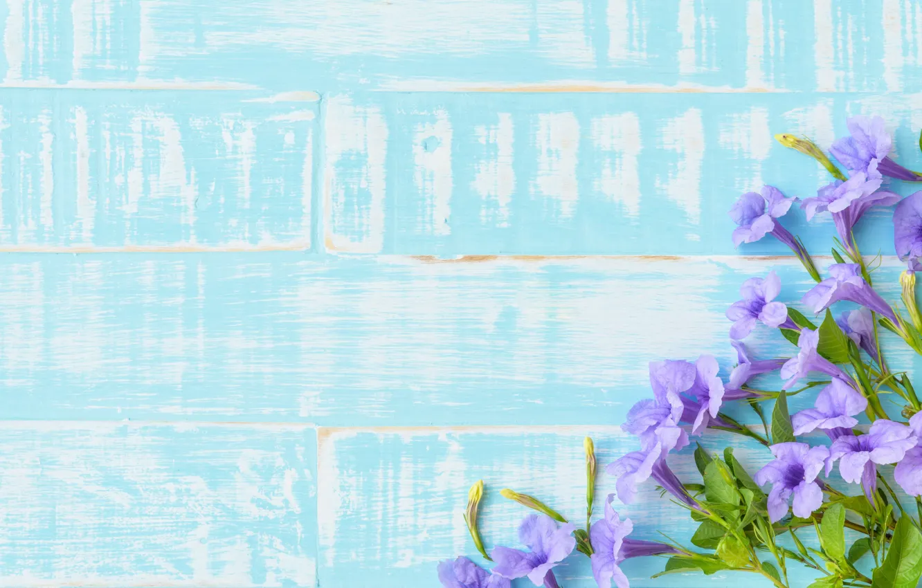 Photo wallpaper flowers, background, blue, wood, blue, flowers, violet