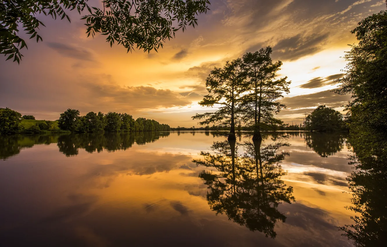 Photo wallpaper trees, sunset, reflection, river, Arkansas, Arkansas, Mississippi River, Arkansas Delta