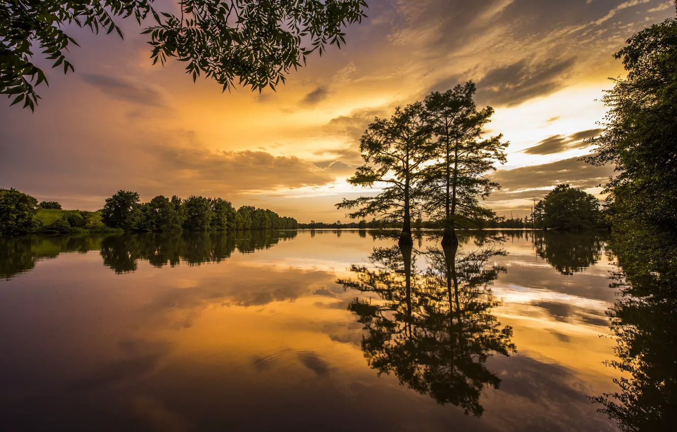 Photo wallpaper trees, sunset, reflection, river, Arkansas, Arkansas, Mississippi River, the Mississippi river