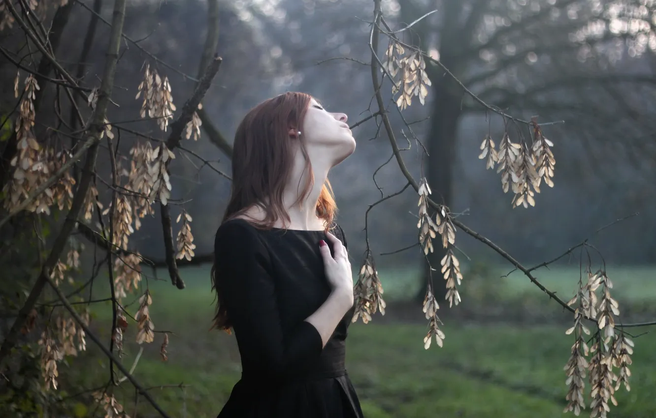 Photo wallpaper girl, nature, mood