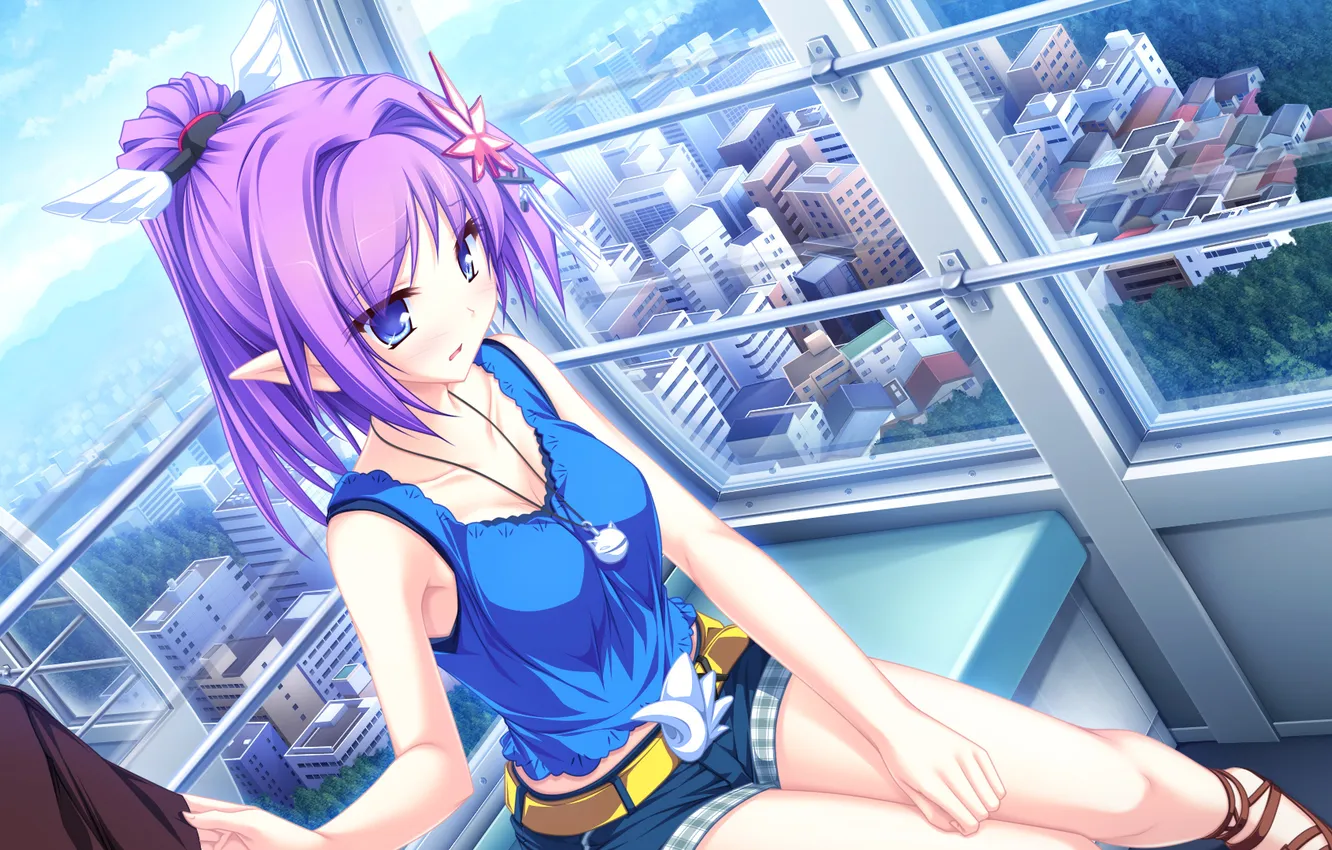 Photo wallpaper look, girl, the city, height, Ferris wheel