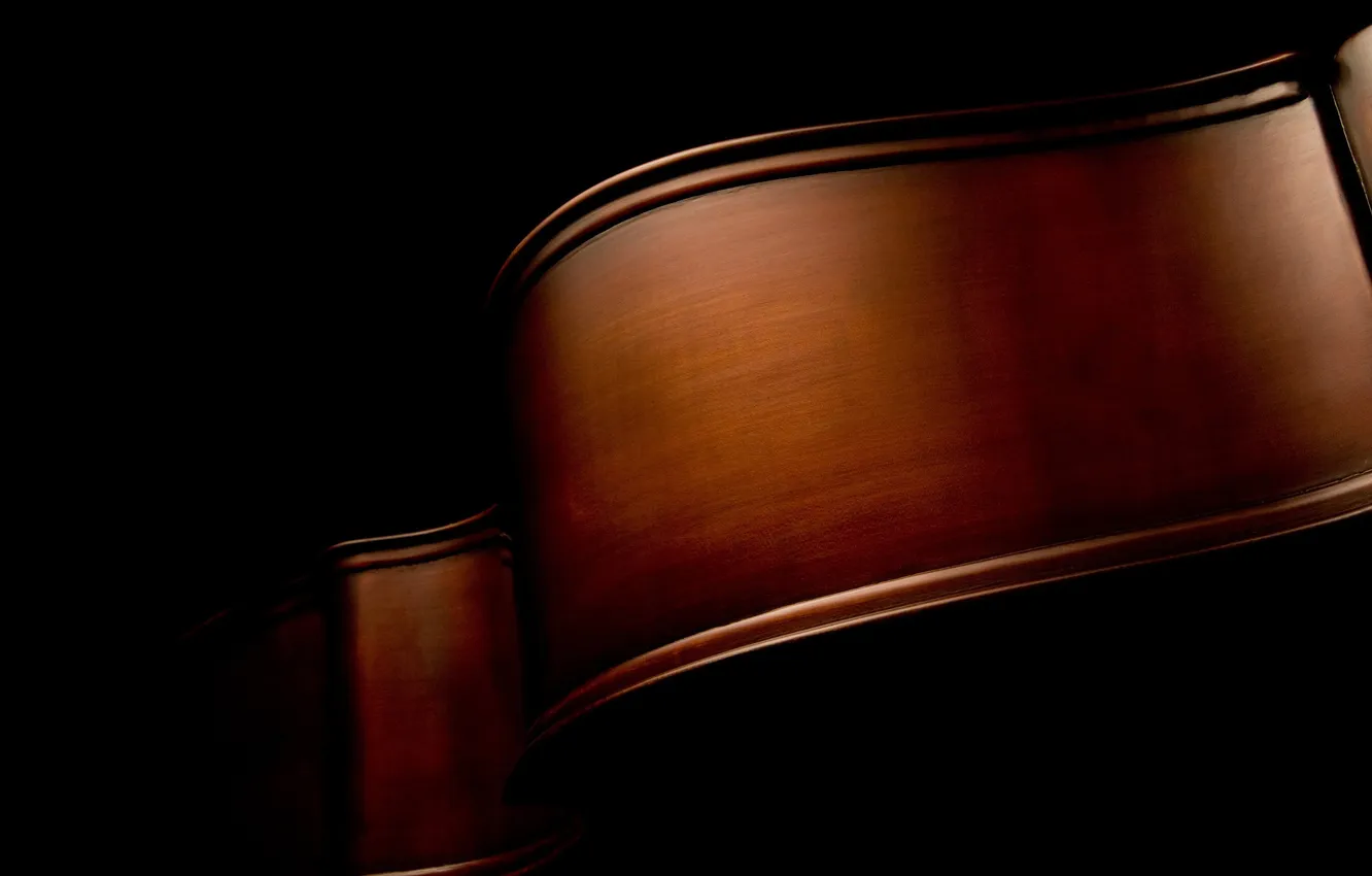 Photo wallpaper black, curves, Music, macro photo, macro, musical instruments