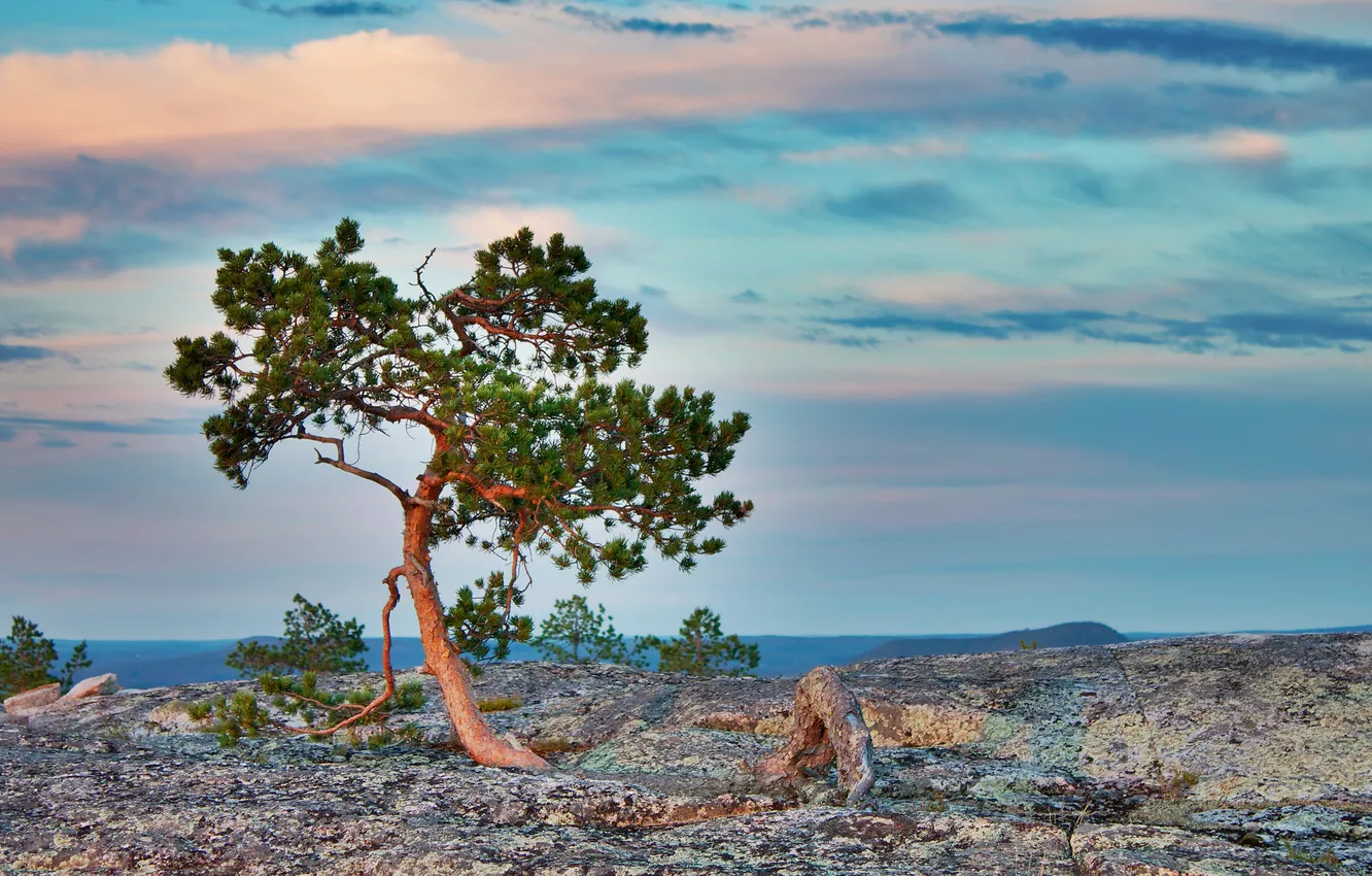 Photo wallpaper the sky, clouds, landscape, stones, tree, Nature, sky, landscape