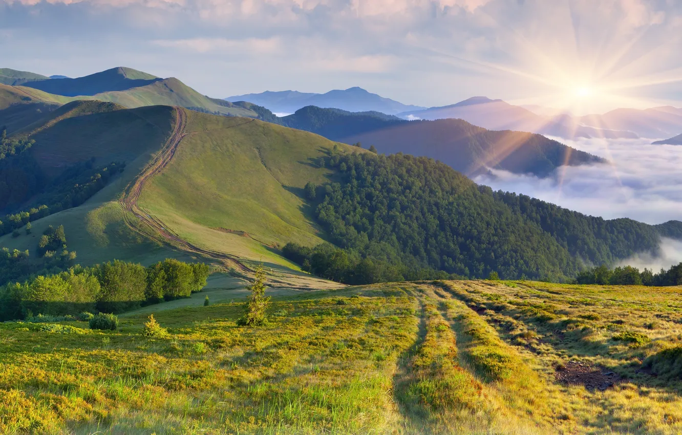 Photo wallpaper greens, the sun, fog, hills