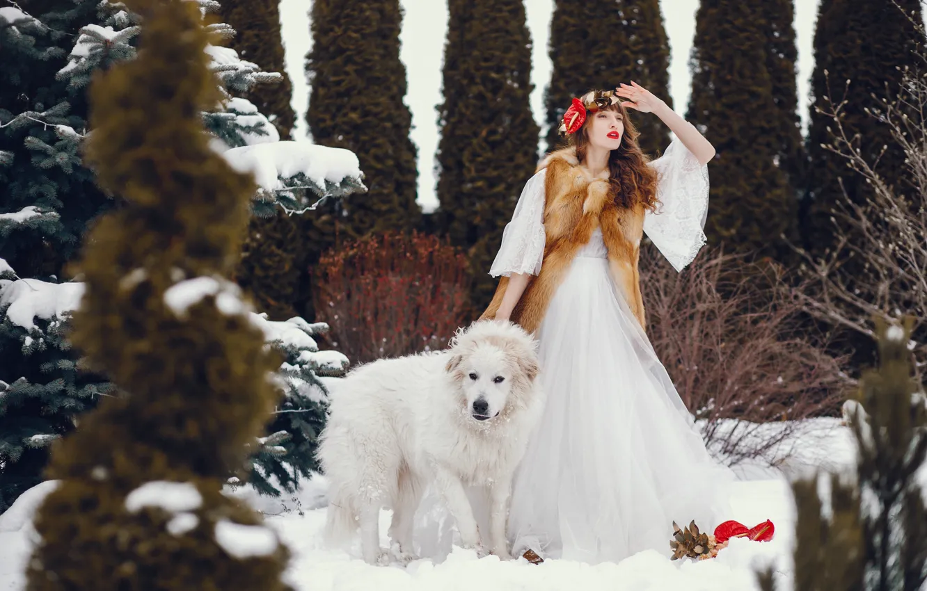 Photo wallpaper girl, Park, dog