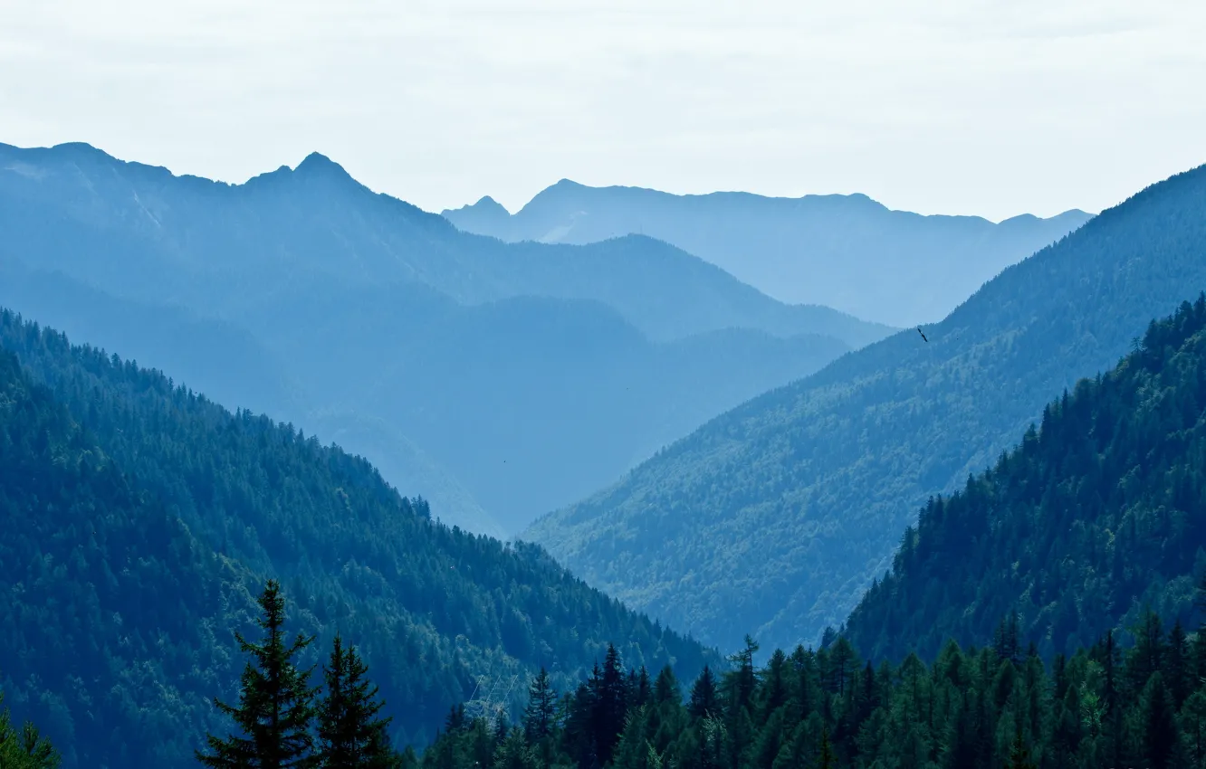 Photo wallpaper trees, landscape, mountains