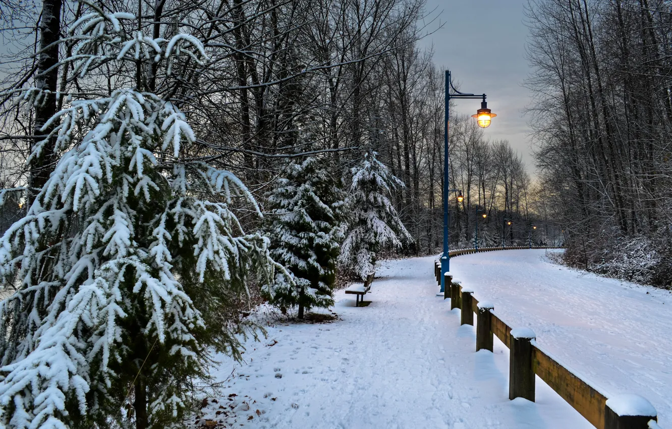 Photo wallpaper winter, road, snow, trees, the evening, lights, road, trees