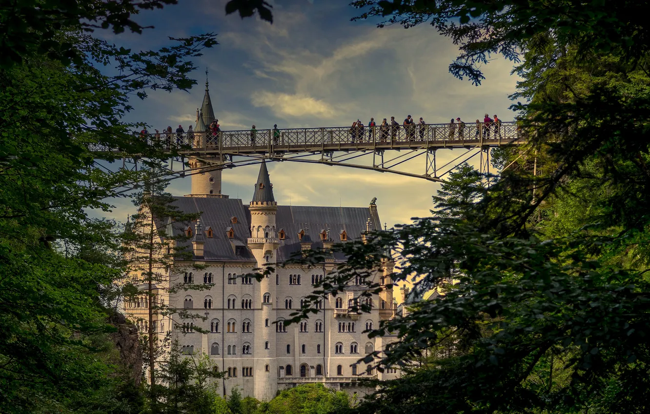 Photo wallpaper trees, bridge, castle, people, height, Germany, overview, Neuschwanstein